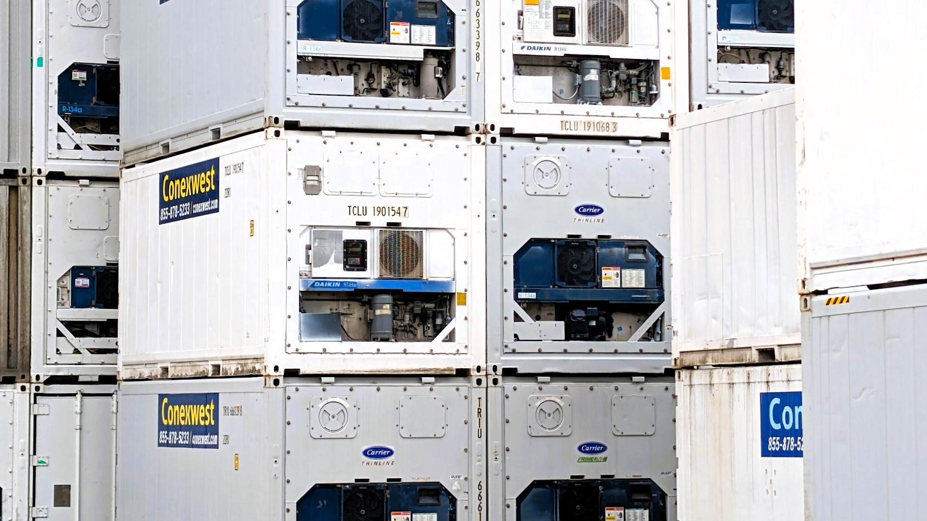 Cold storage refrigerated containers for sale