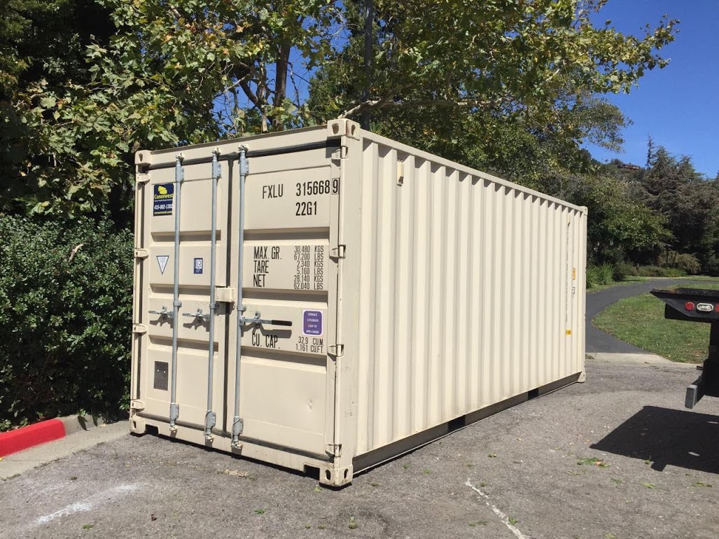 Shipping container by a tree