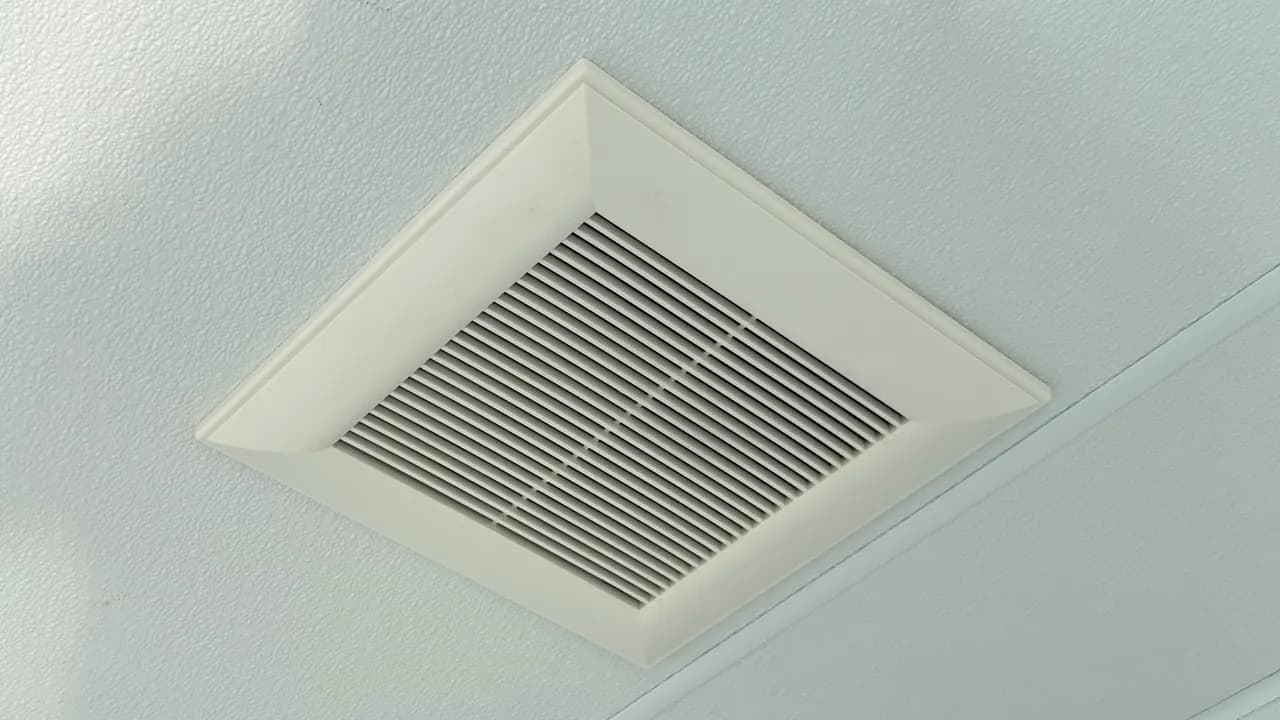 img 3237