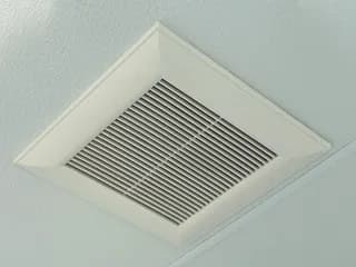 img 3237