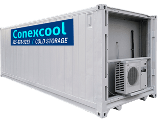 20ft Standard Refrigerated Container Medium Temp 220 V 1 Ph 30 Amp