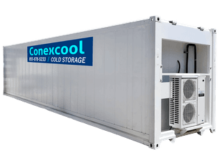 Single-Phase 40ft Refurbished High Cube Refrigerated Container Low Temp