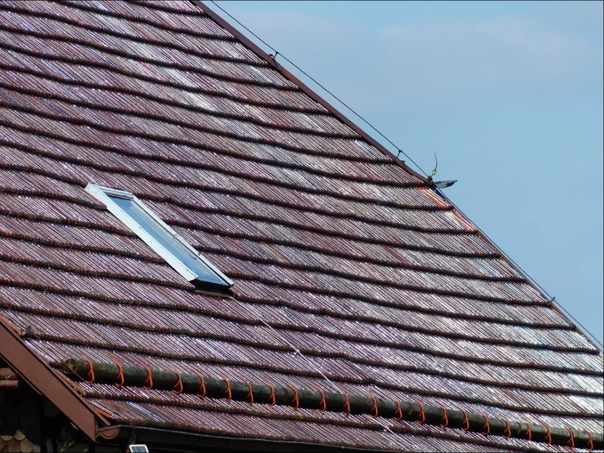 Fixed Skylights