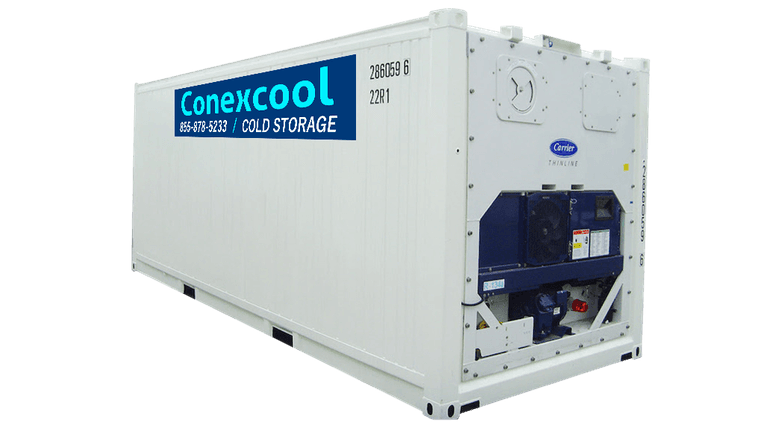 20ft cold storage refrigerated container for rent