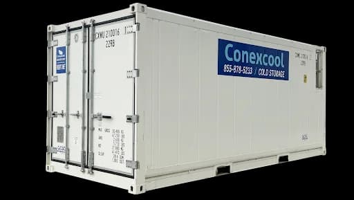 A glimpse of our 20ft single-phase refrigerated container