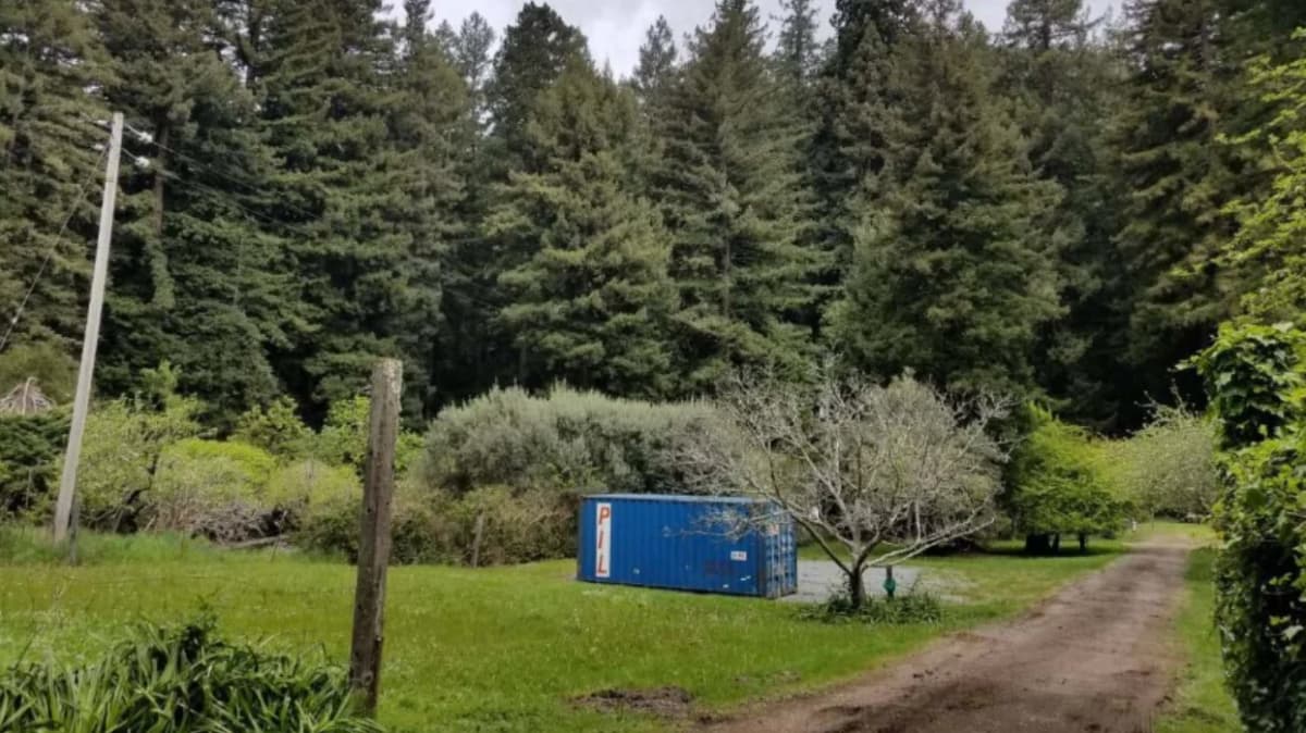 A blue shipping container placed in a lush, wooded area with trees, and grassy terrain