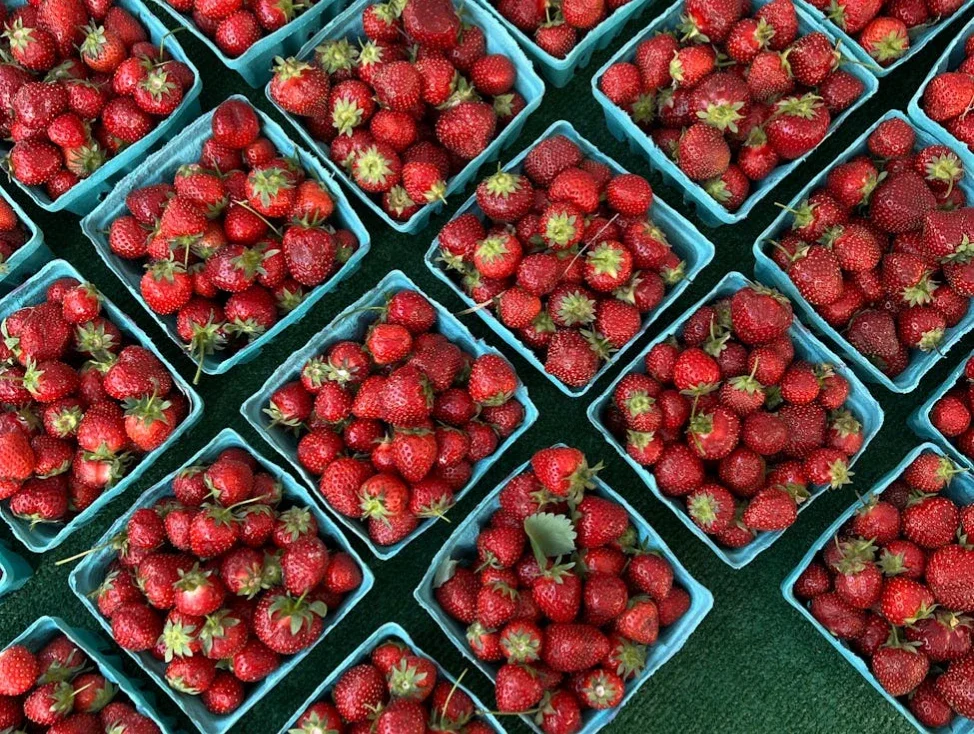 Agriculture & floriculture cold storage