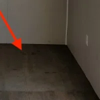 Bamboo or Original Plywood Flooring
