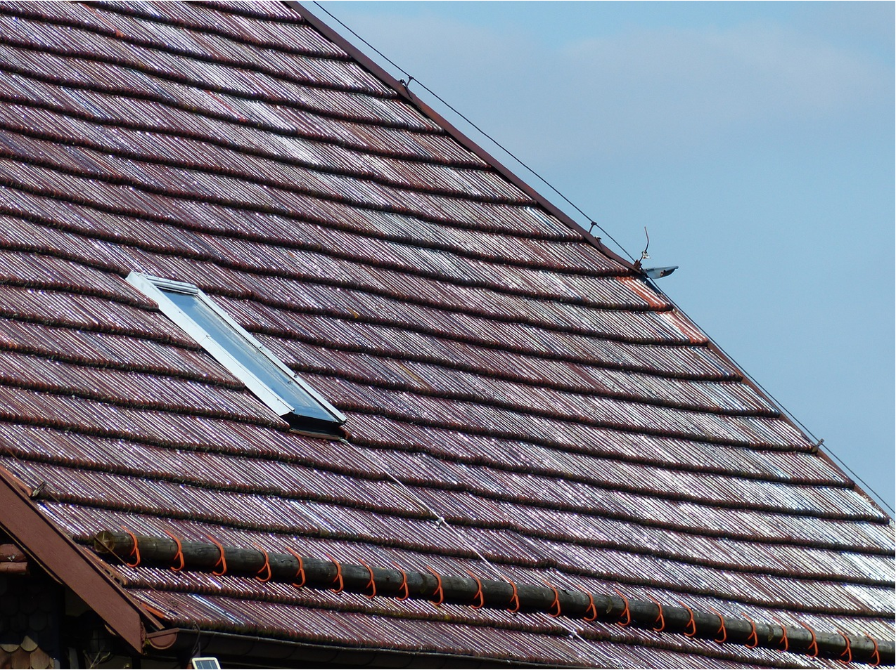 Fixed Skylights