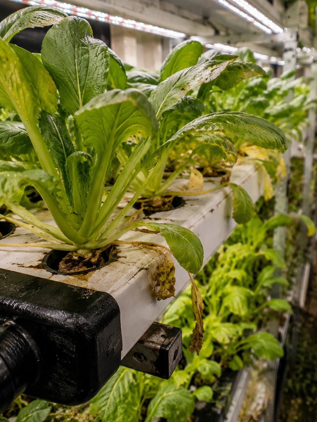 Can You Place A Shipping Container On Agricultural Land?