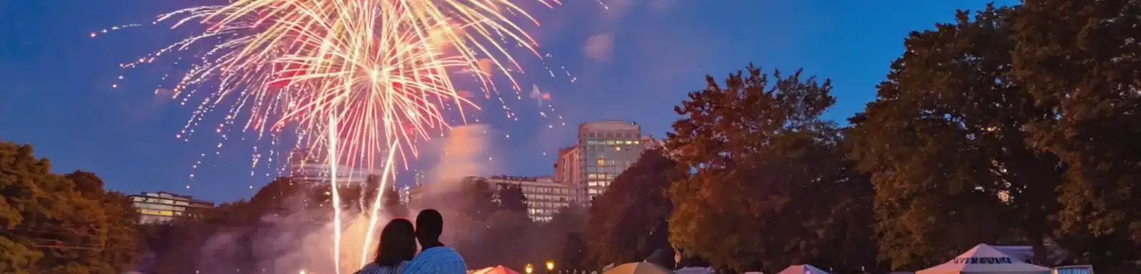 Fireworks