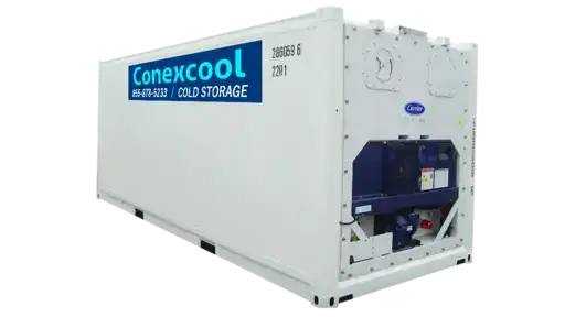 20ft Cold Storage Refrigerated Container for Sale